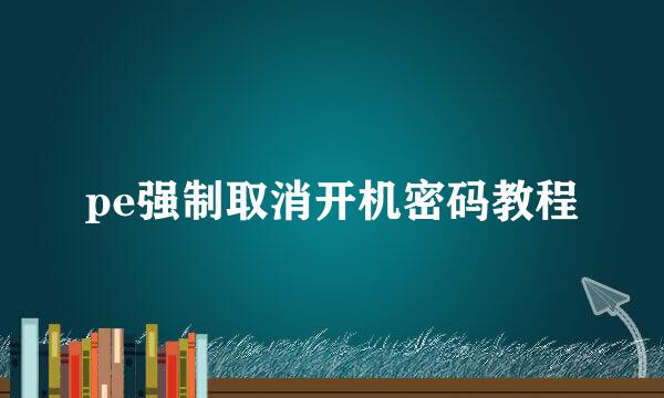 pe强制取消开机密码教程