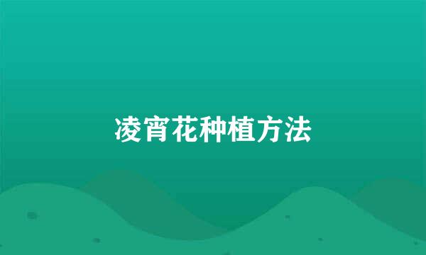 凌宵花种植方法