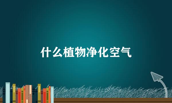 什么植物净化空气