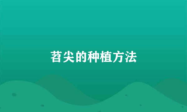 苕尖的种植方法