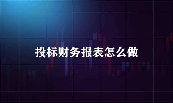 投标财务报表怎么做