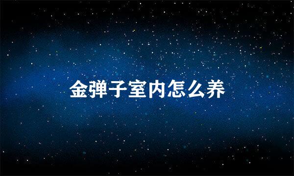 金弹子室内怎么养