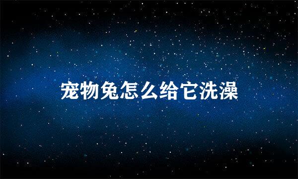 宠物兔怎么给它洗澡