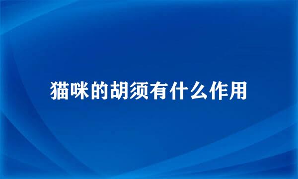 猫咪的胡须有什么作用