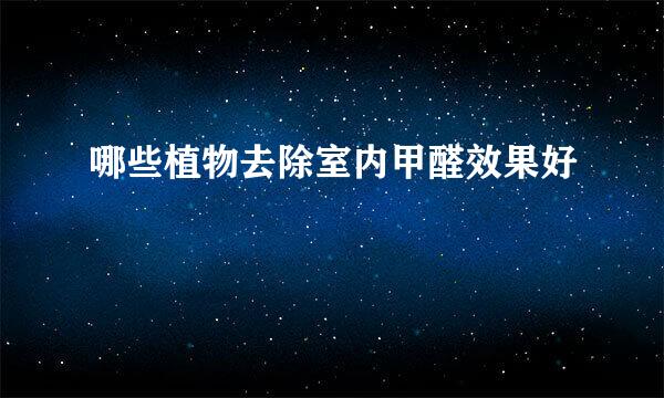 哪些植物去除室内甲醛效果好
