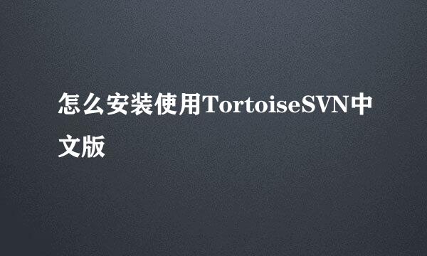 怎么安装使用TortoiseSVN中文版