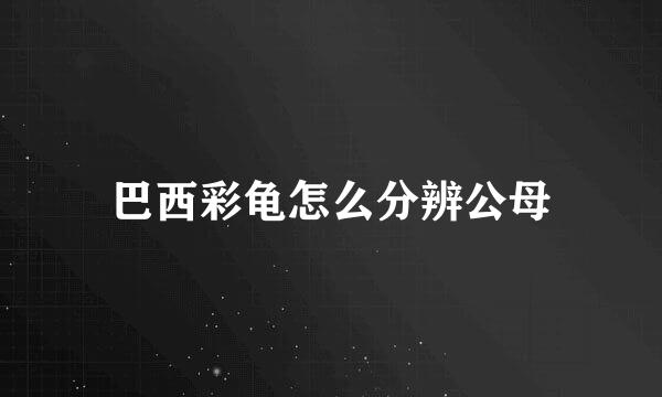 巴西彩龟怎么分辨公母