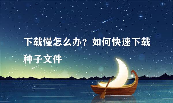 下载慢怎么办？如何快速下载种子文件