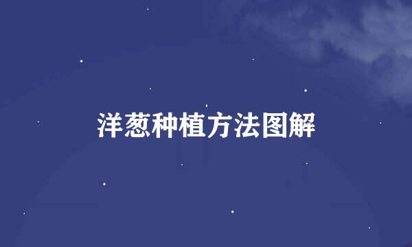 洋葱种植方法图解