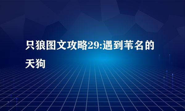 只狼图文攻略29:遇到苇名的天狗
