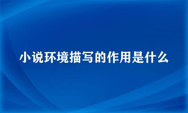 小说环境描写的作用是什么