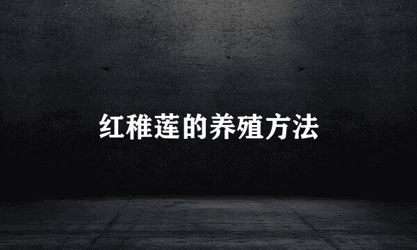 红稚莲的养殖方法