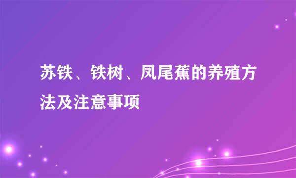 苏铁、铁树、凤尾蕉的养殖方法及注意事项