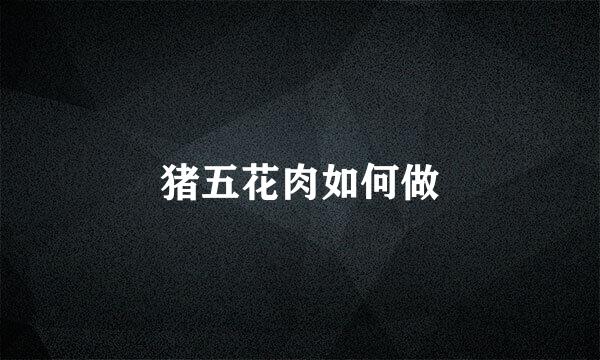 猪五花肉如何做