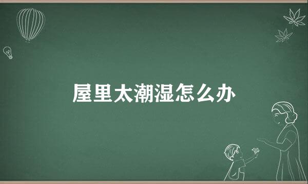 屋里太潮湿怎么办