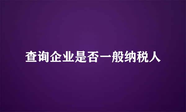 查询企业是否一般纳税人