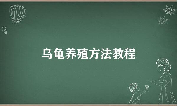 乌龟养殖方法教程