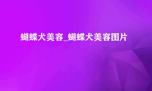 蝴蝶犬美容_蝴蝶犬美容图片