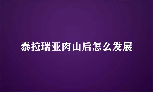 泰拉瑞亚肉山后怎么发展
