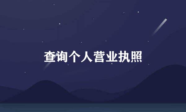 查询个人营业执照