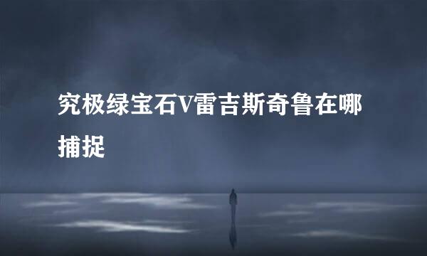 究极绿宝石V雷吉斯奇鲁在哪捕捉