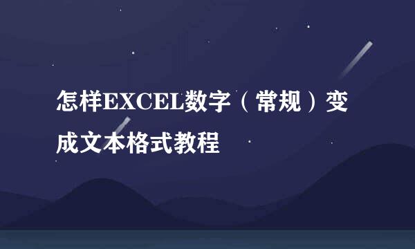 怎样EXCEL数字(常规)变成文本格式教程