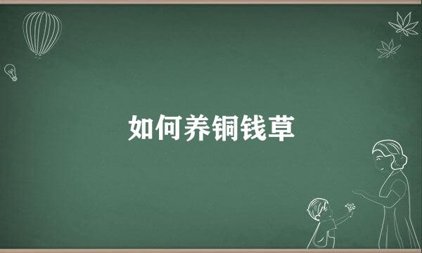 如何养铜钱草