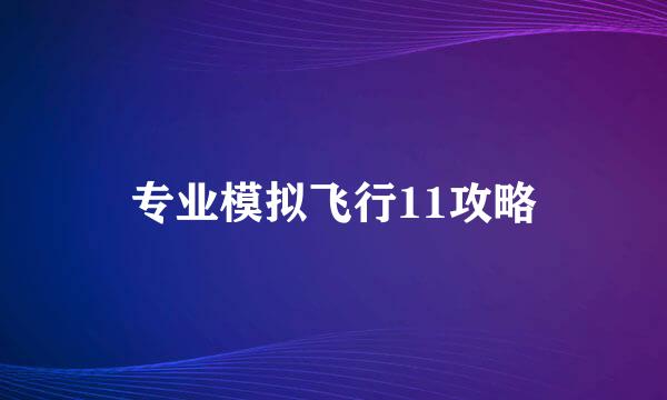 专业模拟飞行11攻略