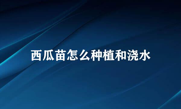 西瓜苗怎么种植和浇水
