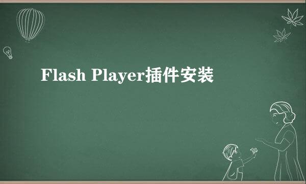 Flash Player插件安装