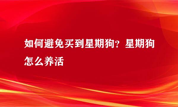 如何避免买到星期狗？星期狗怎么养活