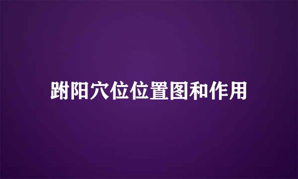 跗阳穴位位置图和作用