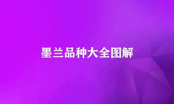 墨兰品种大全图解