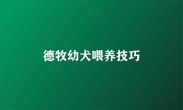 德牧幼犬喂养技巧