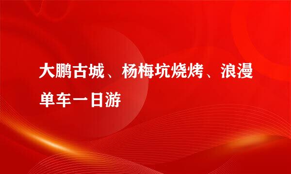 大鹏古城、杨梅坑烧烤、浪漫单车一日游