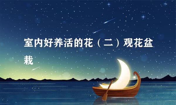 室内好养活的花（二）观花盆栽