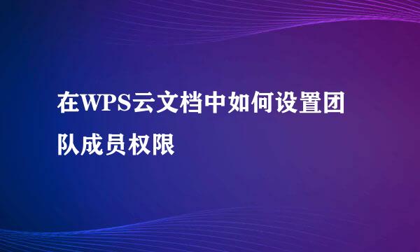 在WPS云文档中如何设置团队成员权限