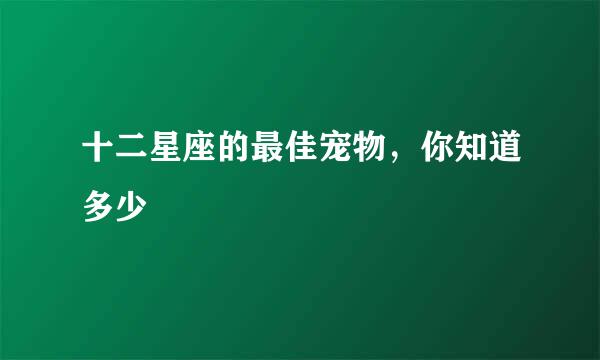 十二星座的最佳宠物，你知道多少