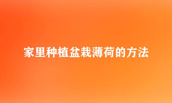 家里种植盆栽薄荷的方法