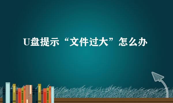 U盘提示“文件过大”怎么办
