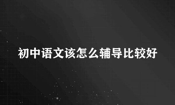 初中语文该怎么辅导比较好