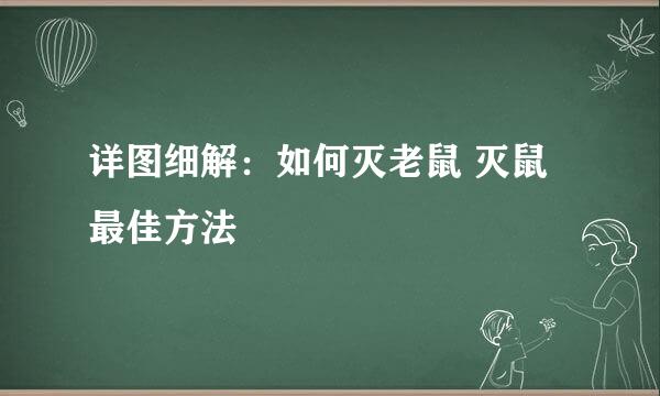 详图细解：如何灭老鼠 灭鼠最佳方法