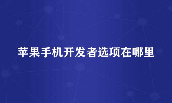 苹果手机开发者选项在哪里
