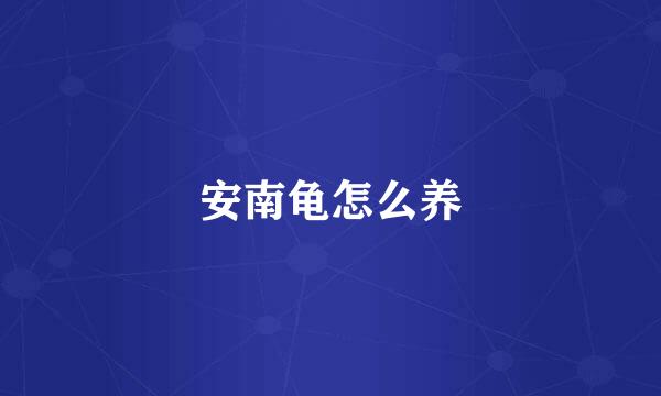 安南龟怎么养