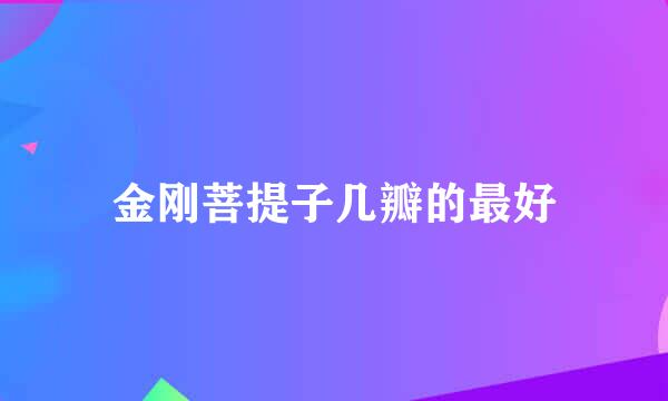 金刚菩提子几瓣的最好