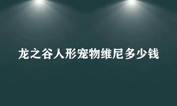 龙之谷人形宠物维尼多少钱