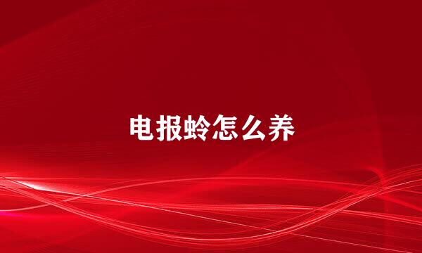 电报蛉怎么养