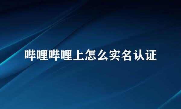 哔哩哔哩上怎么实名认证