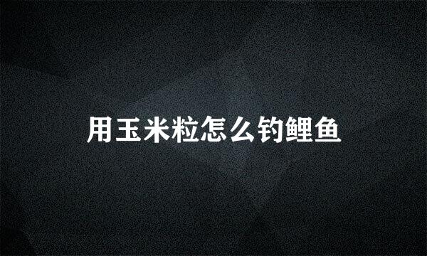用玉米粒怎么钓鲤鱼