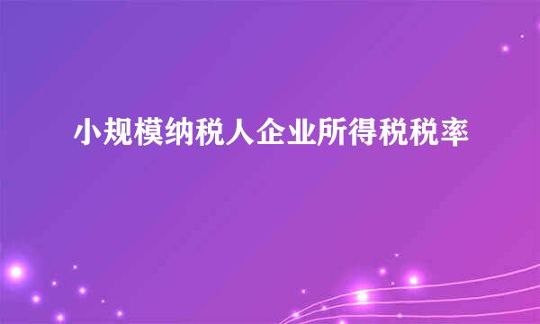 小规模纳税人企业所得税税率
